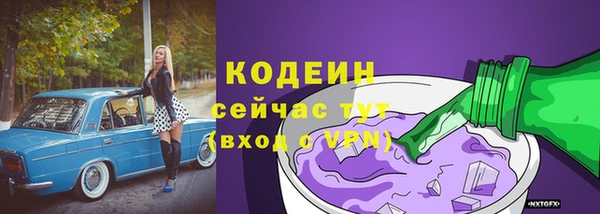 прущие грибы Абаза