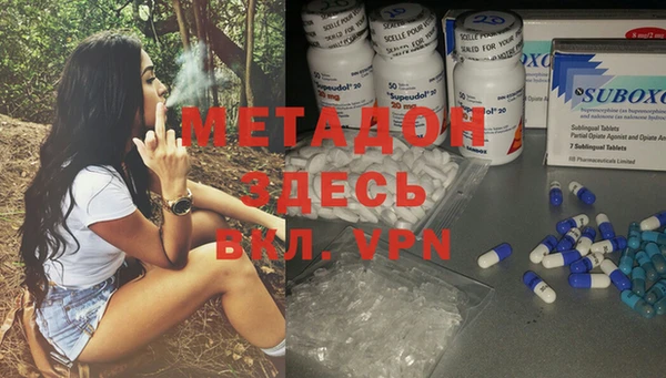 прущие грибы Абаза