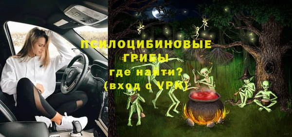 ПСИЛОЦИБИНОВЫЕ ГРИБЫ Абинск
