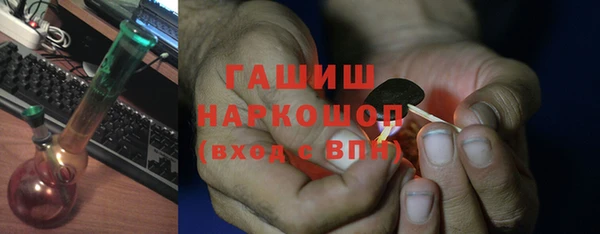 прущие грибы Абаза