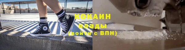 прущие грибы Абаза