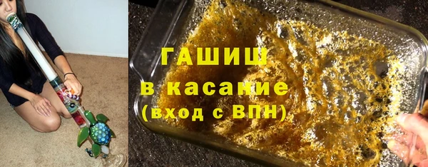 прущие грибы Абаза