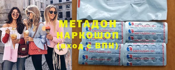 прущие грибы Абаза
