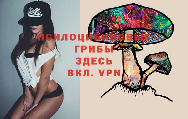 прущие грибы Абаза