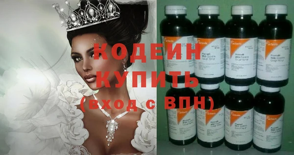прущие грибы Абаза
