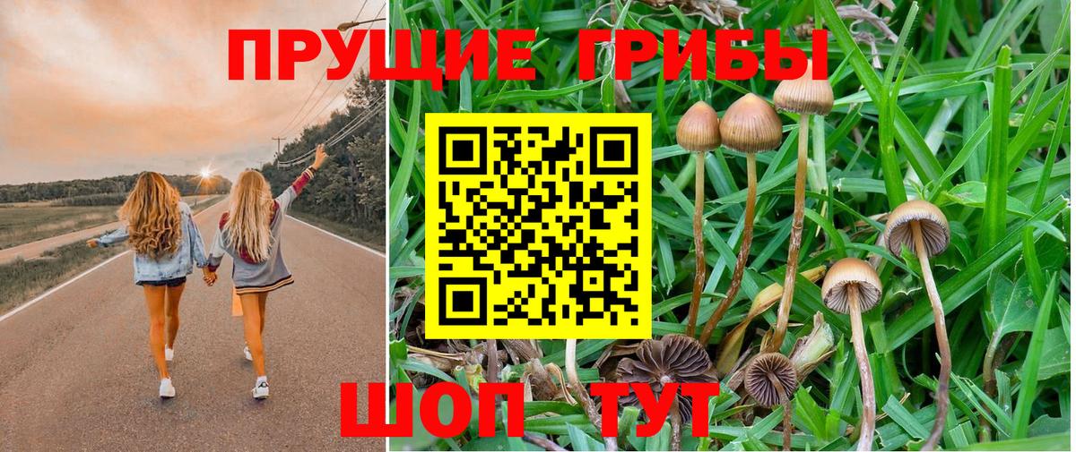 Псилоцибиновые грибы Psilocybine cubensis  Вход с VPN  Чита 