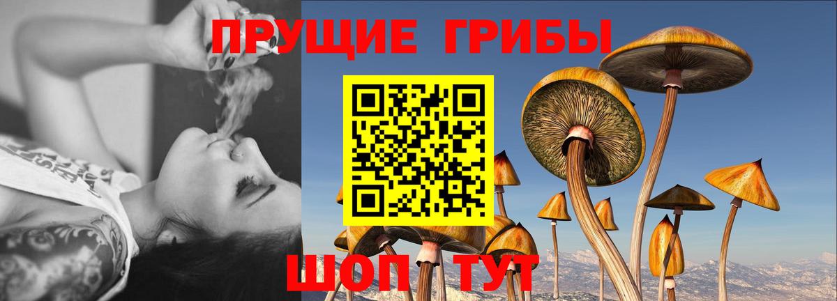 Псилоцибиновые грибы мухоморы Чита