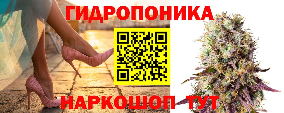 Бошки марихуана индика  Бошки марихуана тримм  Вход с VPN  Конопля Bruce Banner  Чита 